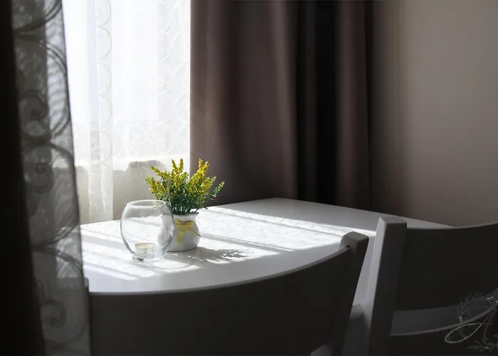 и студиа алекса And Alexa