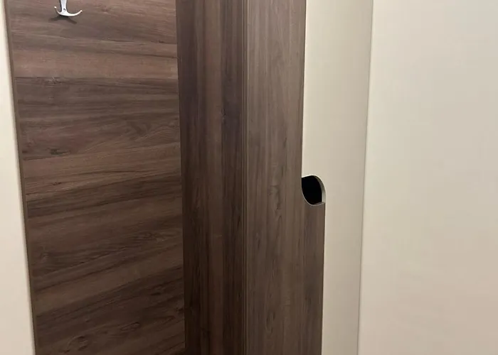 и студиа алекса And Alexa