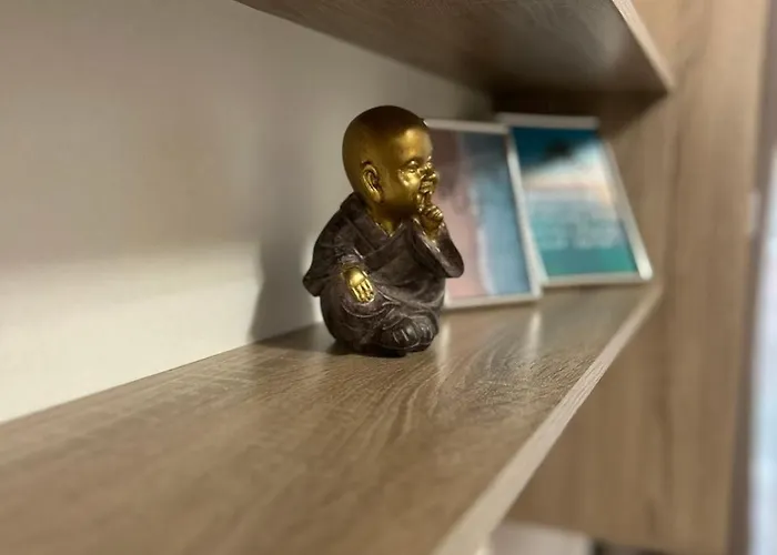 и студиа алекса And Alexa Daire Süzebolu