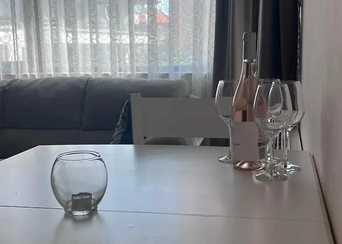 и студиа алекса And Alexa