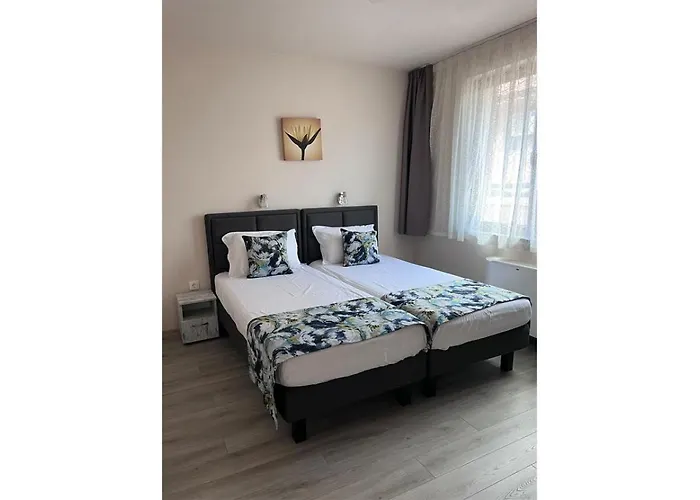 и студиа алекса And Alexa * Созопол